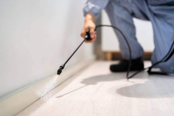 Licensed Cockroach Control service in Hercules, CA - Nex Pest Control