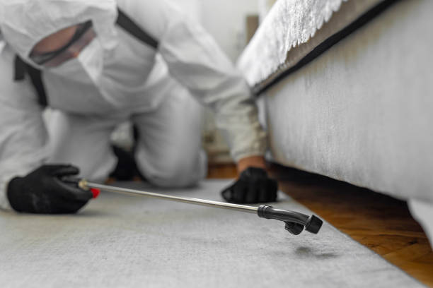 Professional Cockroach Control technician working in Hercules, CA